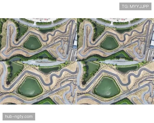 石宇奇家里那个豪车车库跟比赛场上速度差还挺大啊！